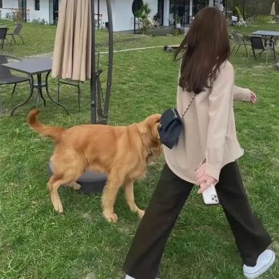 我的半熟恋人